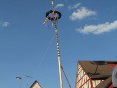 Maibaum_12_104