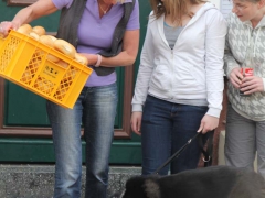 Bild_20110429_4162
