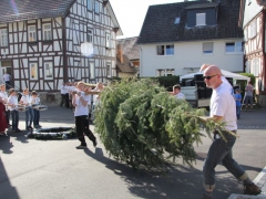 Maibaum_12_084