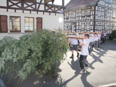 Maibaum_12_085