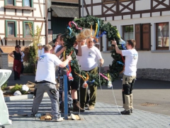 Maibaum_12_086