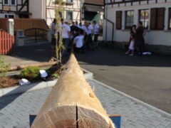 Maibaum_12_090