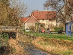 2014 Rainrod im Frühling